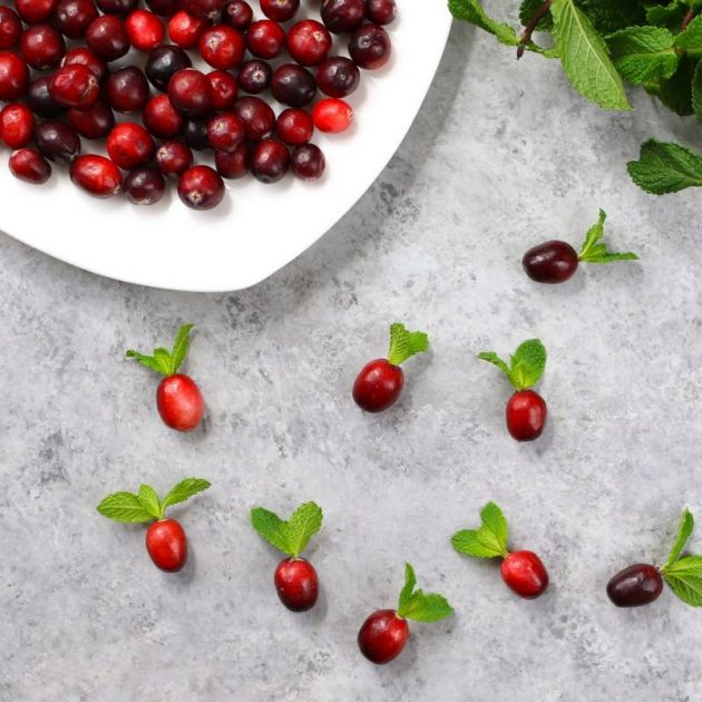 Holiday Lemonade Cocktails cranberry mint sprigs