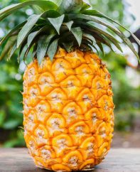 A ripe pineapple with golden colored flesh